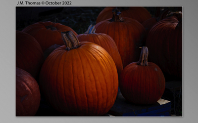 October Pumpkins-4.jpg